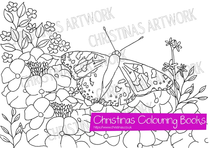 Birds Bees Butterflies and Flowers Colouring Book