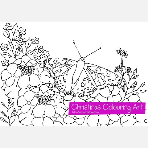 Birds Bees Butterflies and Flowers Colouring Book