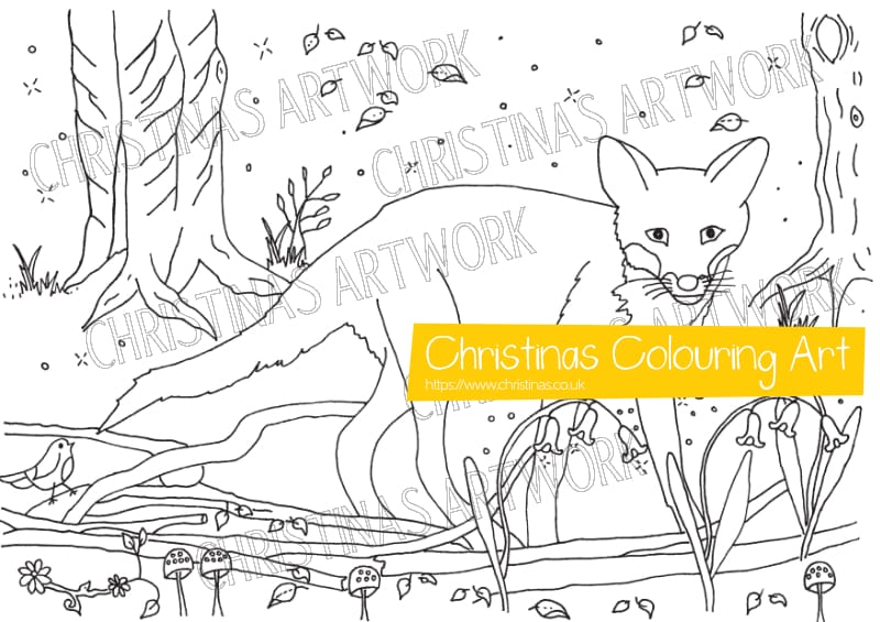 Wildlife and Flowers Colouring Book