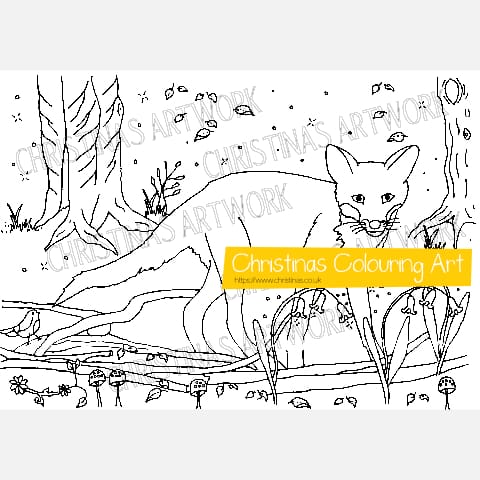 Wildlife and Flowers Colouring Book