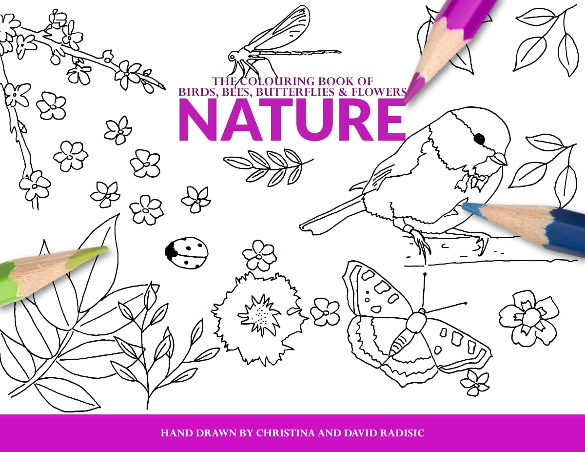 Birds Bees Butterflies and Flowers Colouring Book