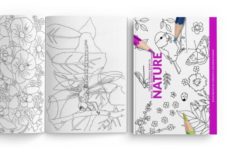 Birds Bees Butterflies and Flowers Colouring Book