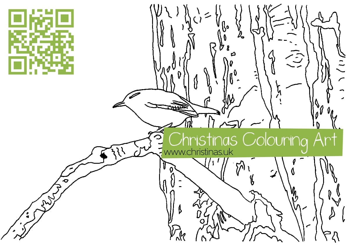 Download Colouring Page Wren In Tree