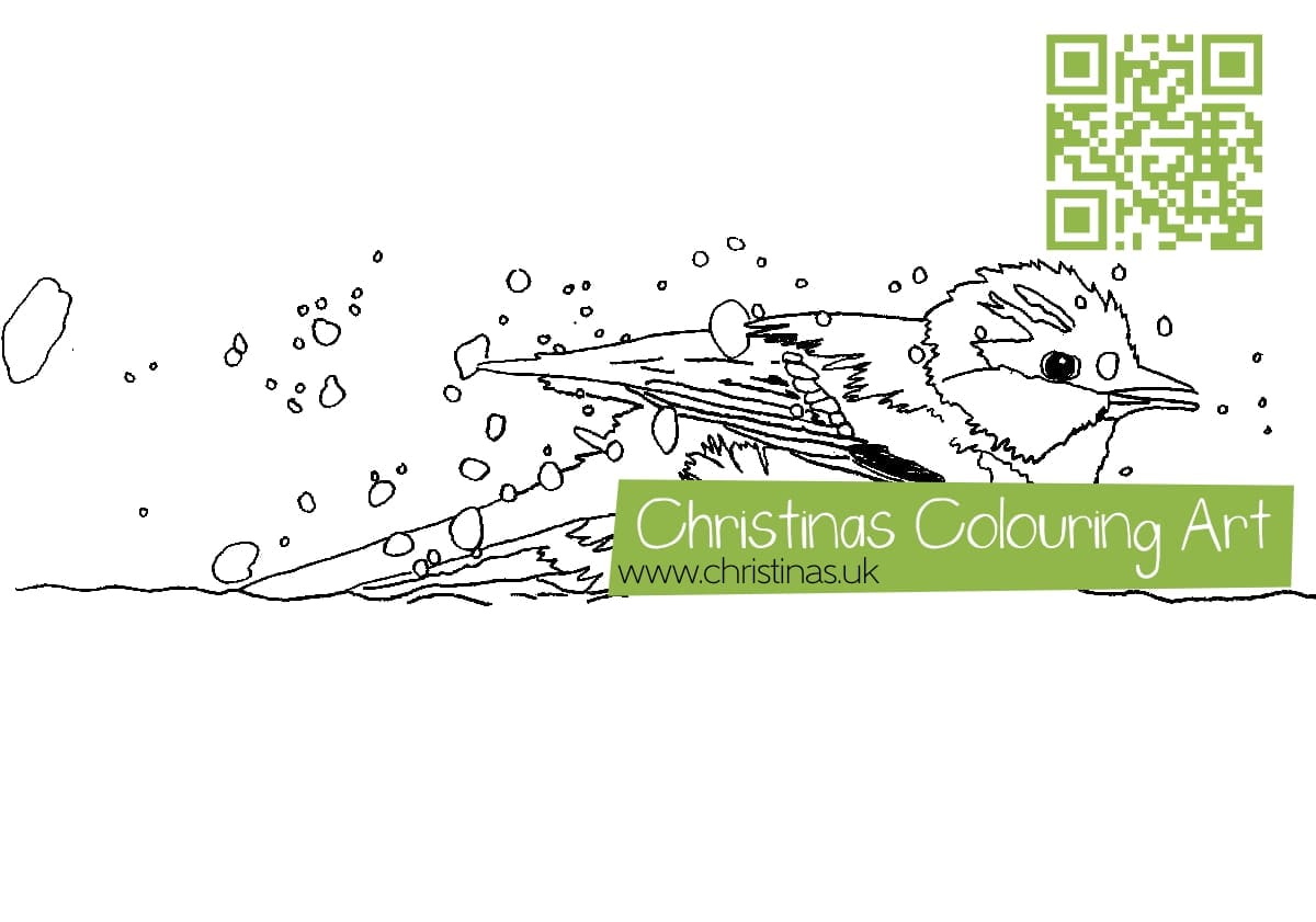 Download Colouring Page Great Tit Bathing